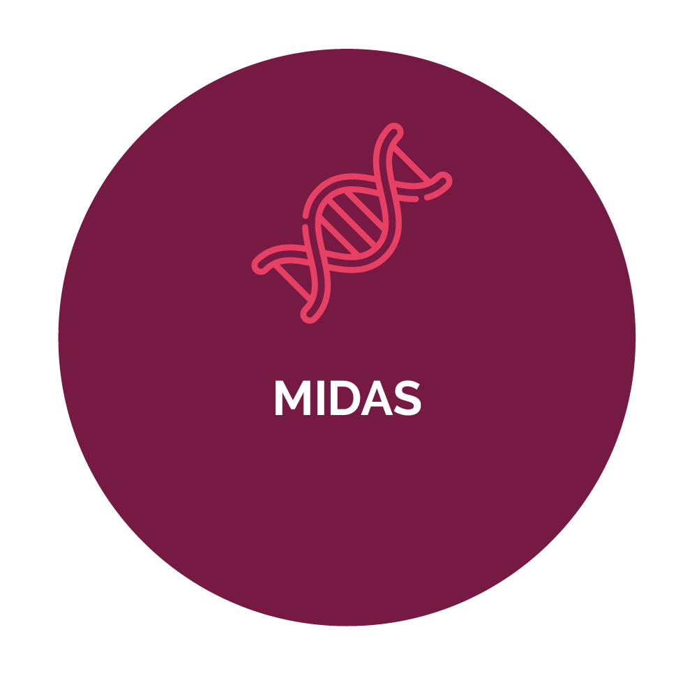 midas